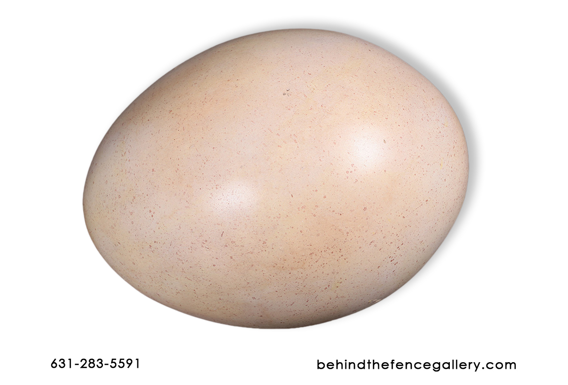 Sauropod Egg 9" Statue