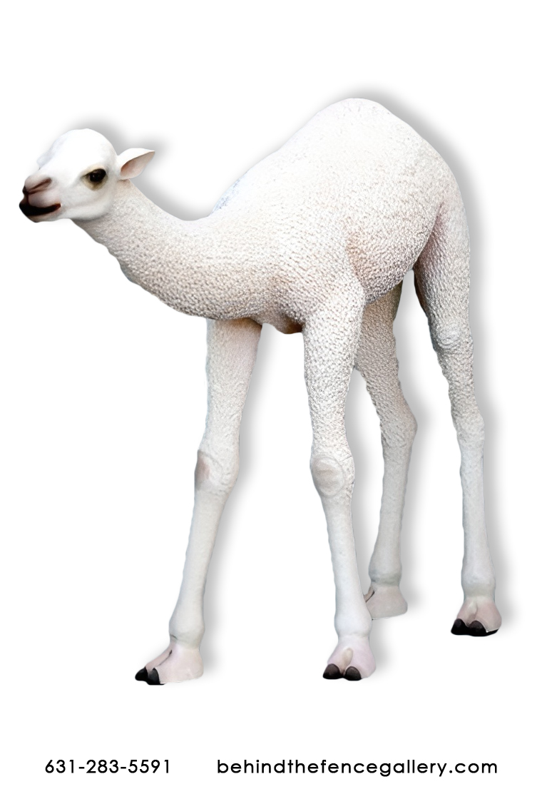 Baby Camel Statue