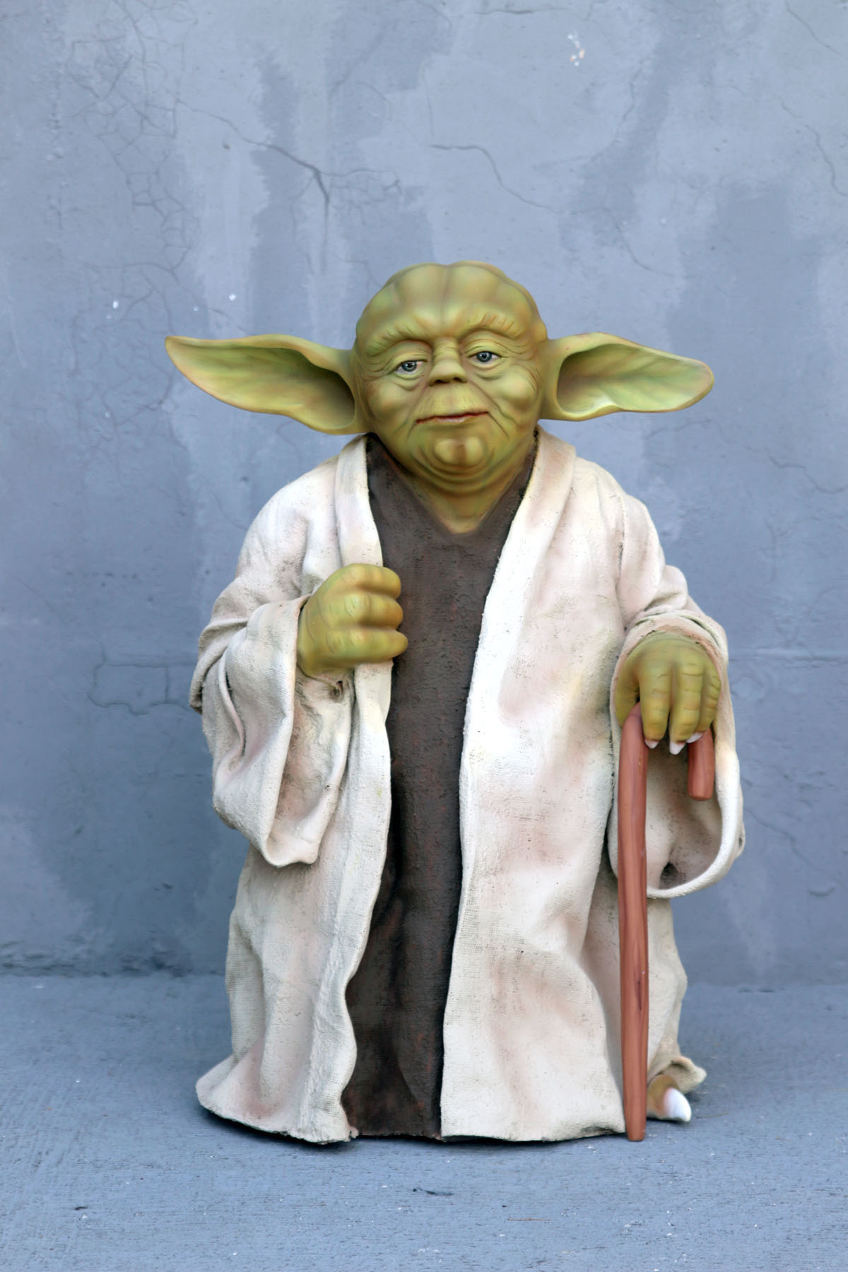 Master Light Sword Warrior