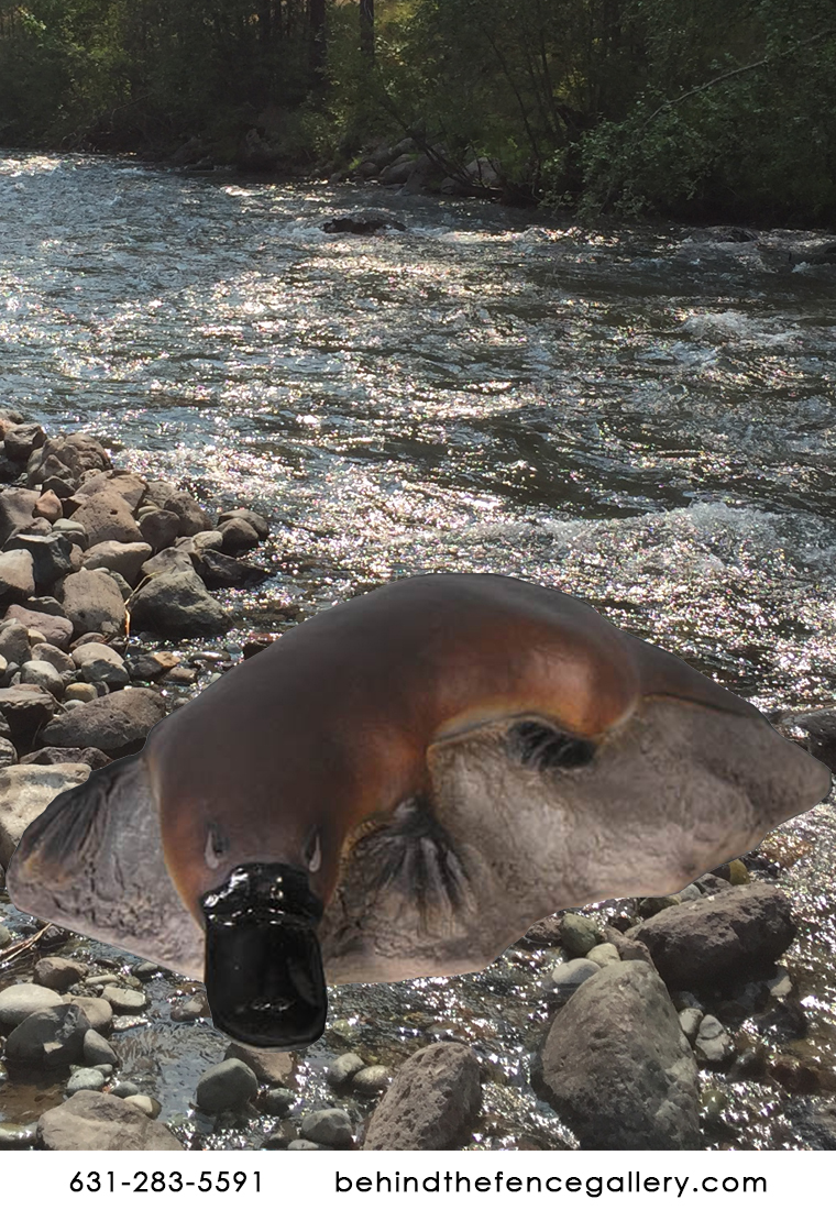 Platypus on Rock statue