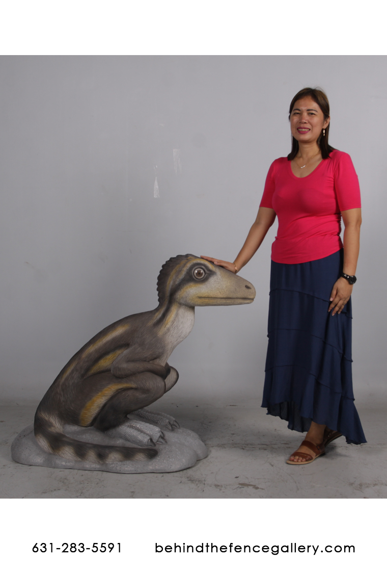 Juvenile Theropod Sitting Dinosaur Statue