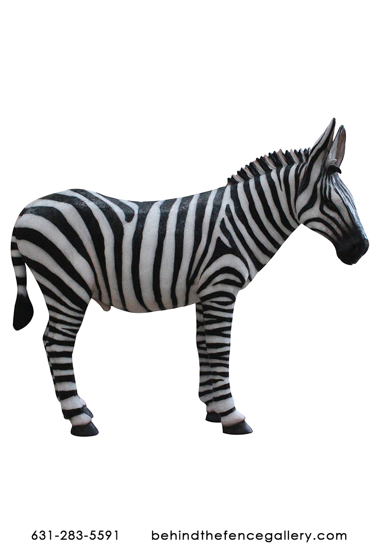 Life Size Fiberglass Safari Party Prop Zebra