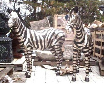 Bronze Zebra