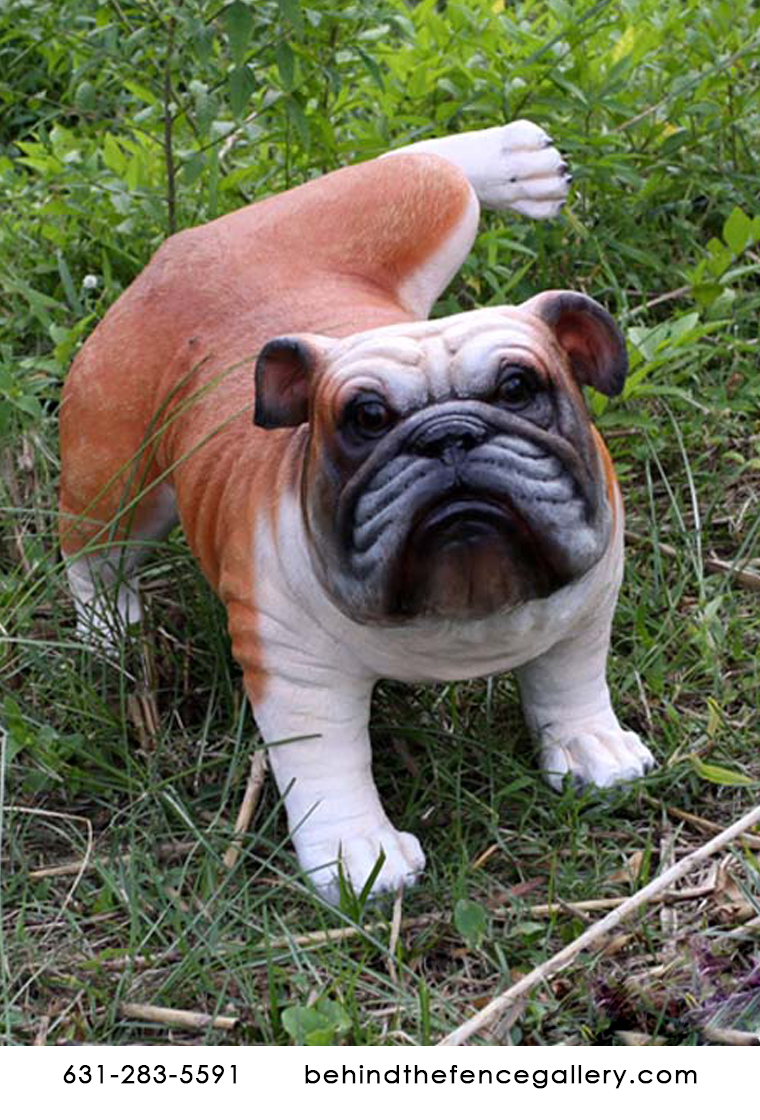 Peeing Bulldog Statue