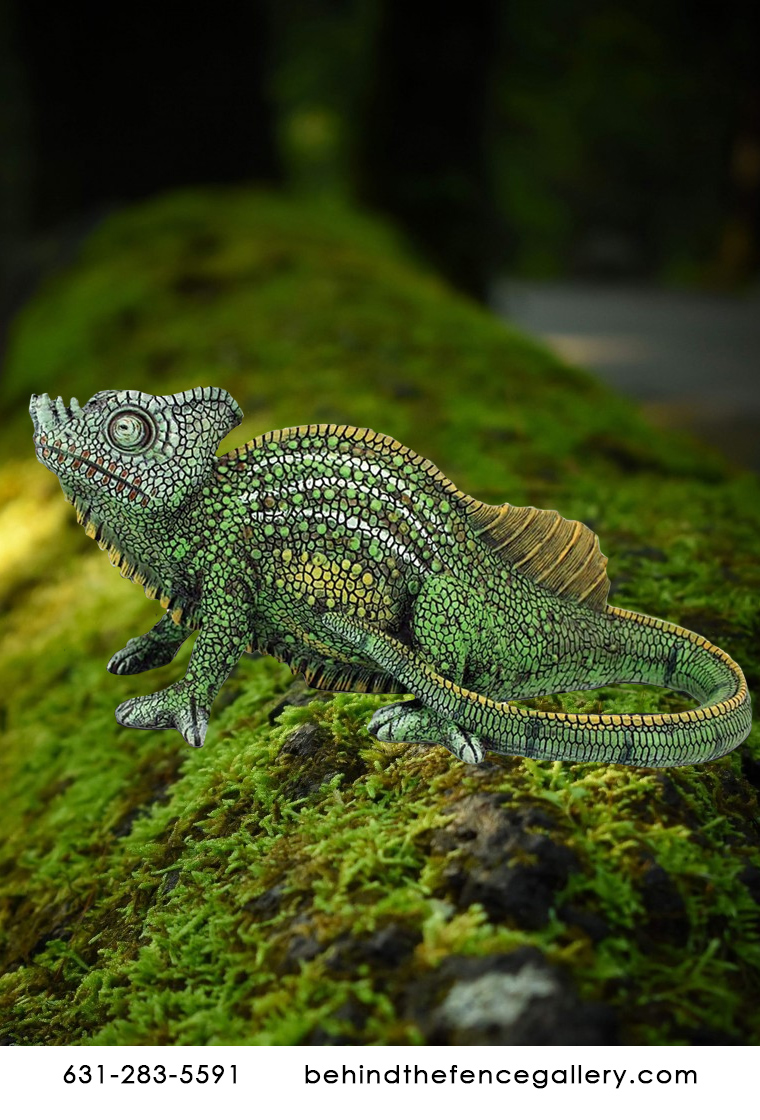 Veiled Chameleon