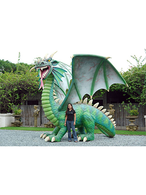 Dragon 13 Ft.
