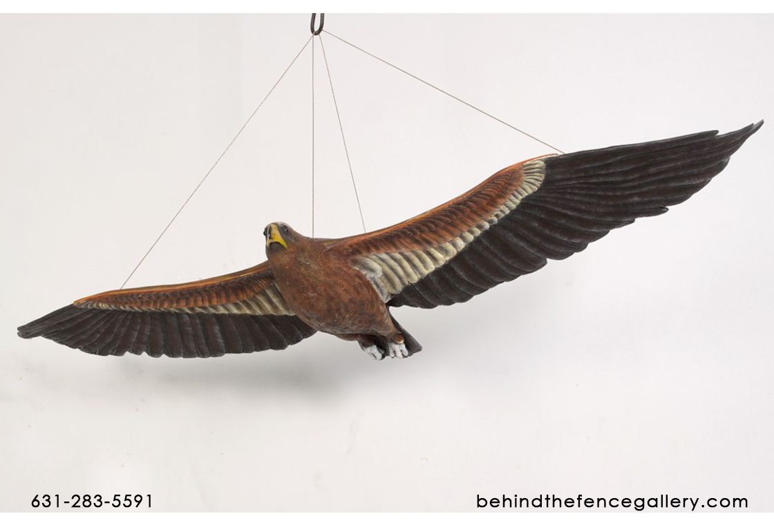 Bird Statue Wedge-Tailed Eagle Life Size