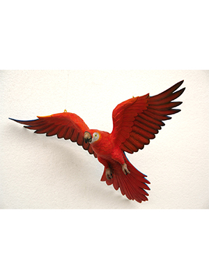 Parrot Flying (Red)