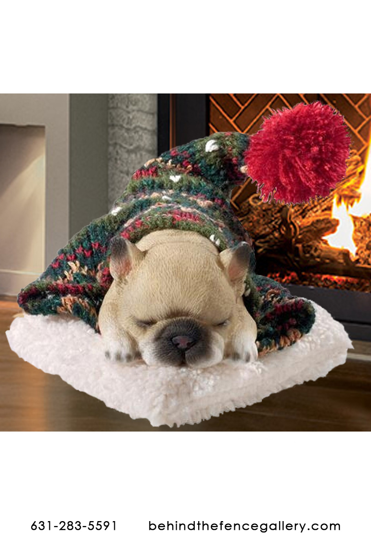Cozy French Bulldog