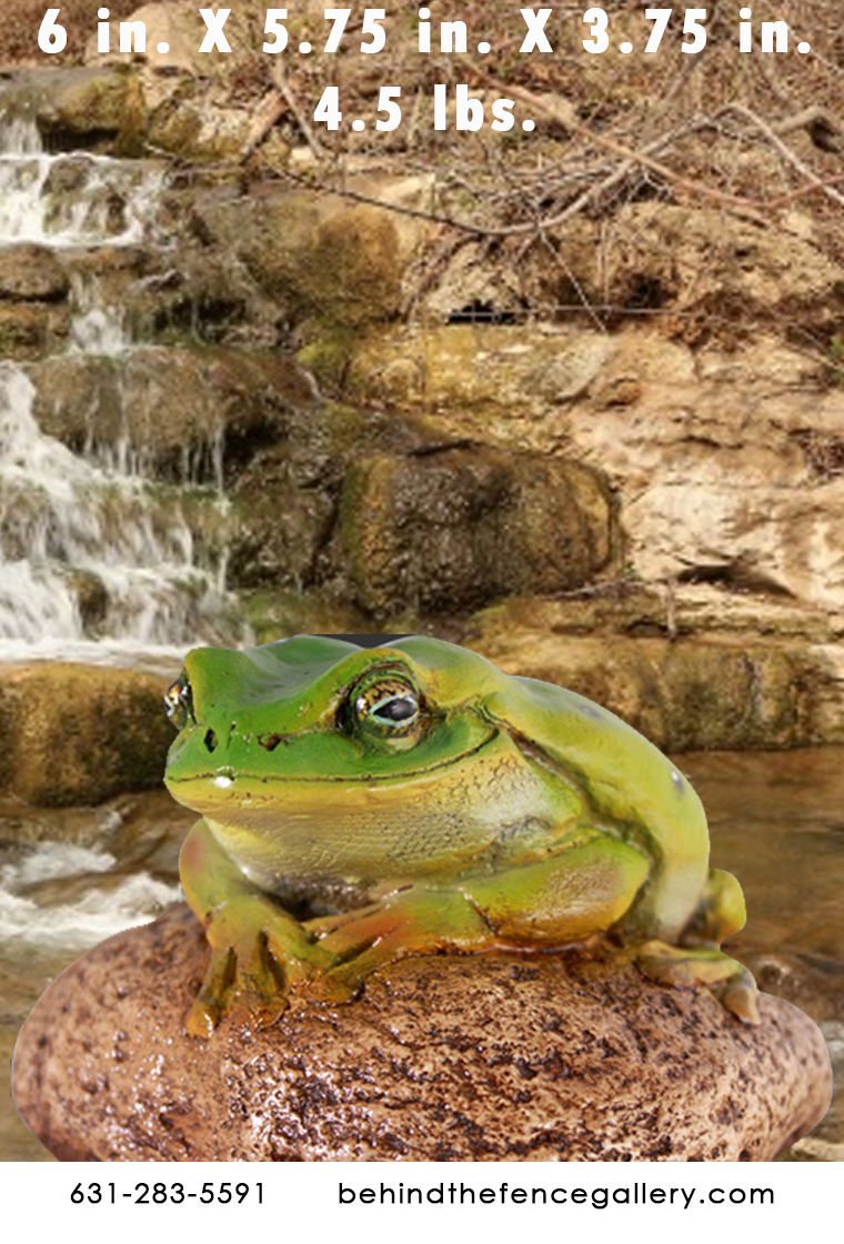 Small Green Frog on Rock Statue
