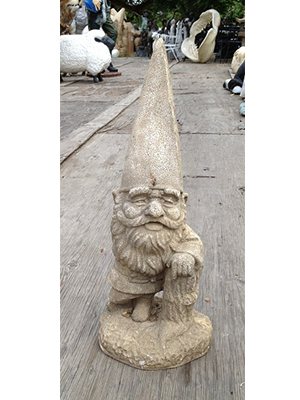 Funny Gnome