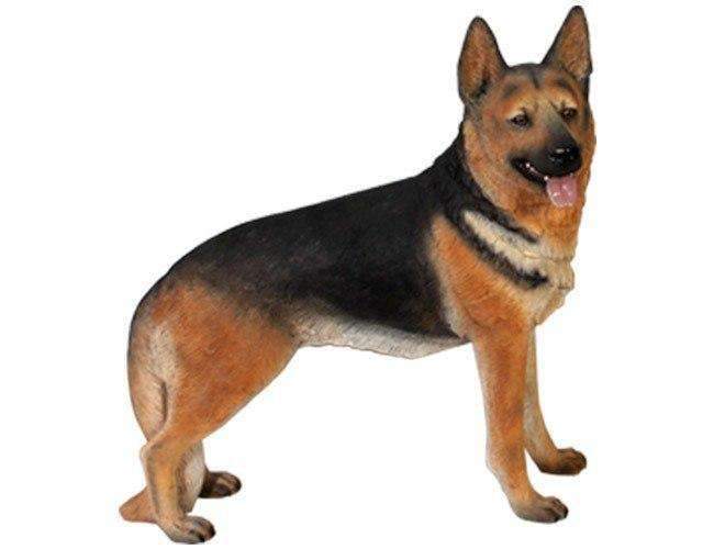 German Shepherd Statue