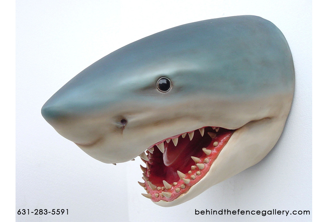 Great White Shark Head Wall Mount Display