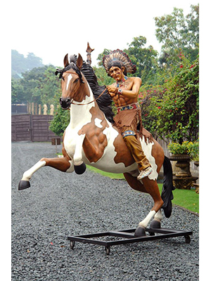 Indian Warrior Chief