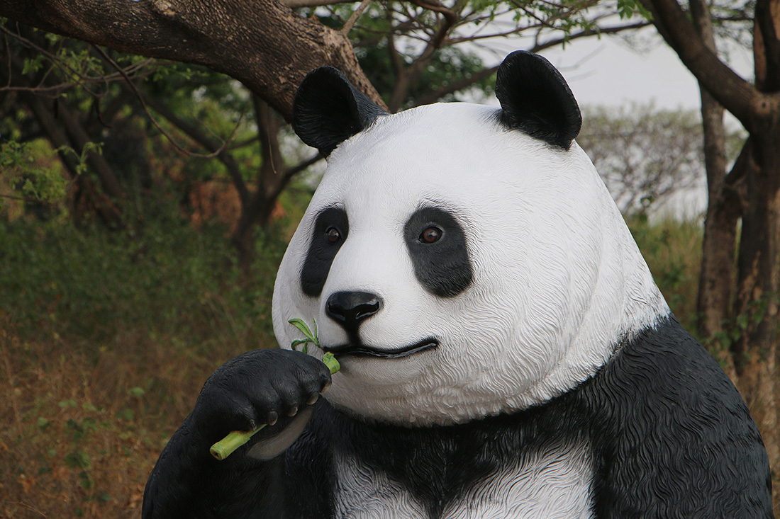 Giant Sitting Panda Bear Eating Fiberglass Statue