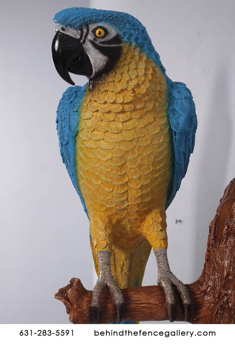 Life Size Blue and Gold Macaw Parrot Statue