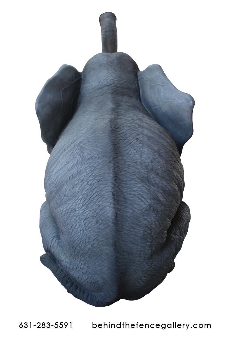 Elephant Sitting Trunk Up