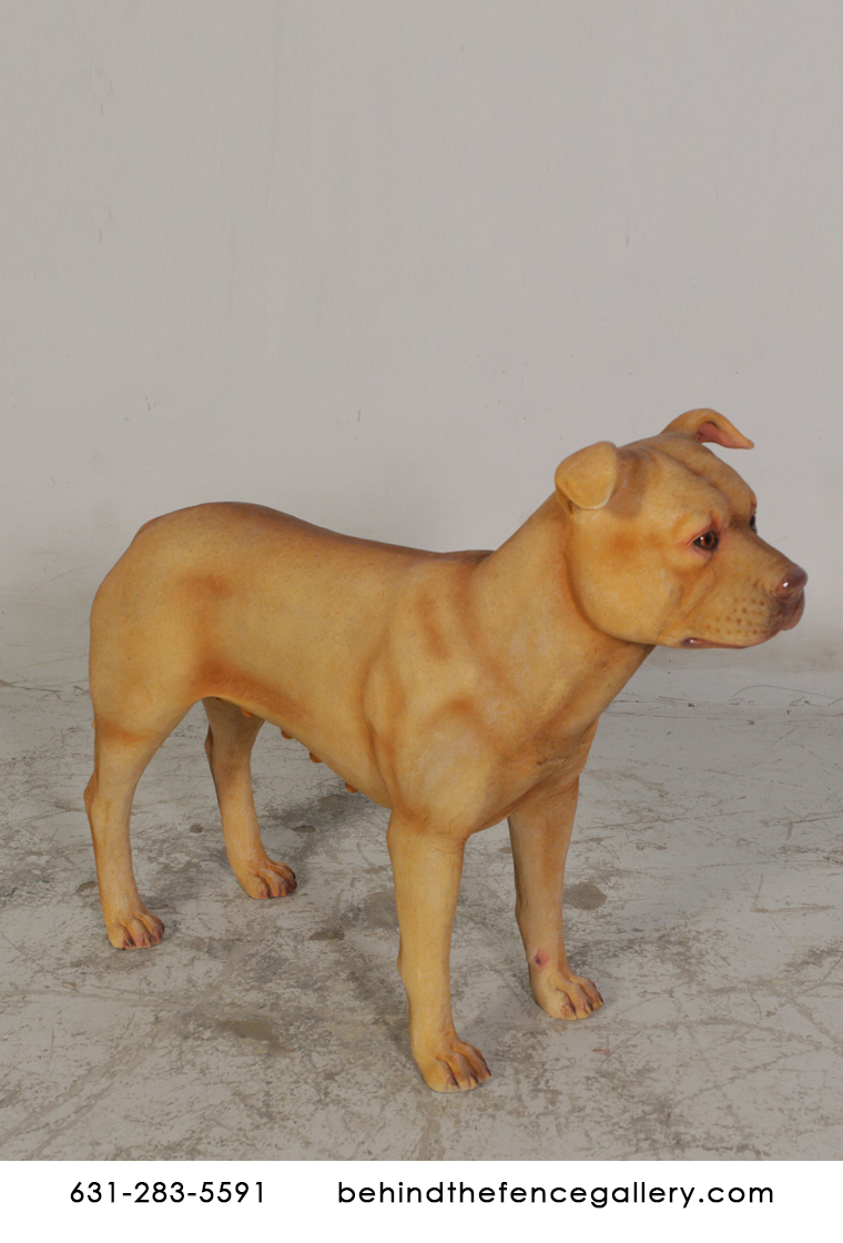Female Pitbull Statue