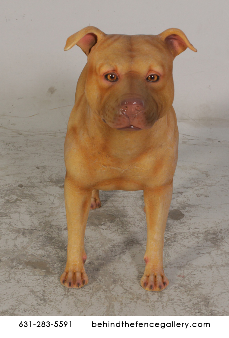 Female Pitbull Statue