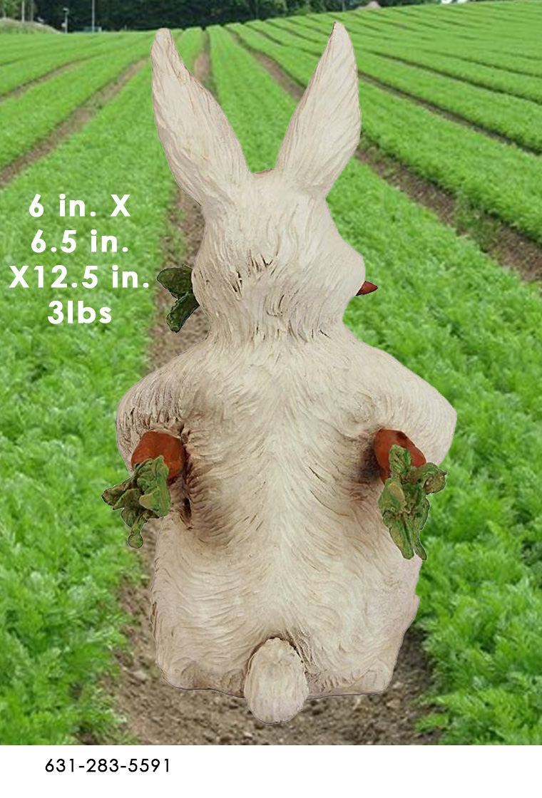 Carrot Crazed Rabbit