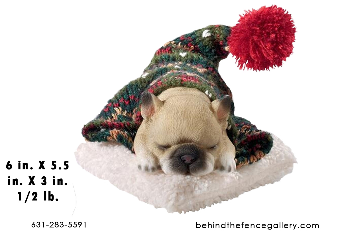 Cozy French Bulldog