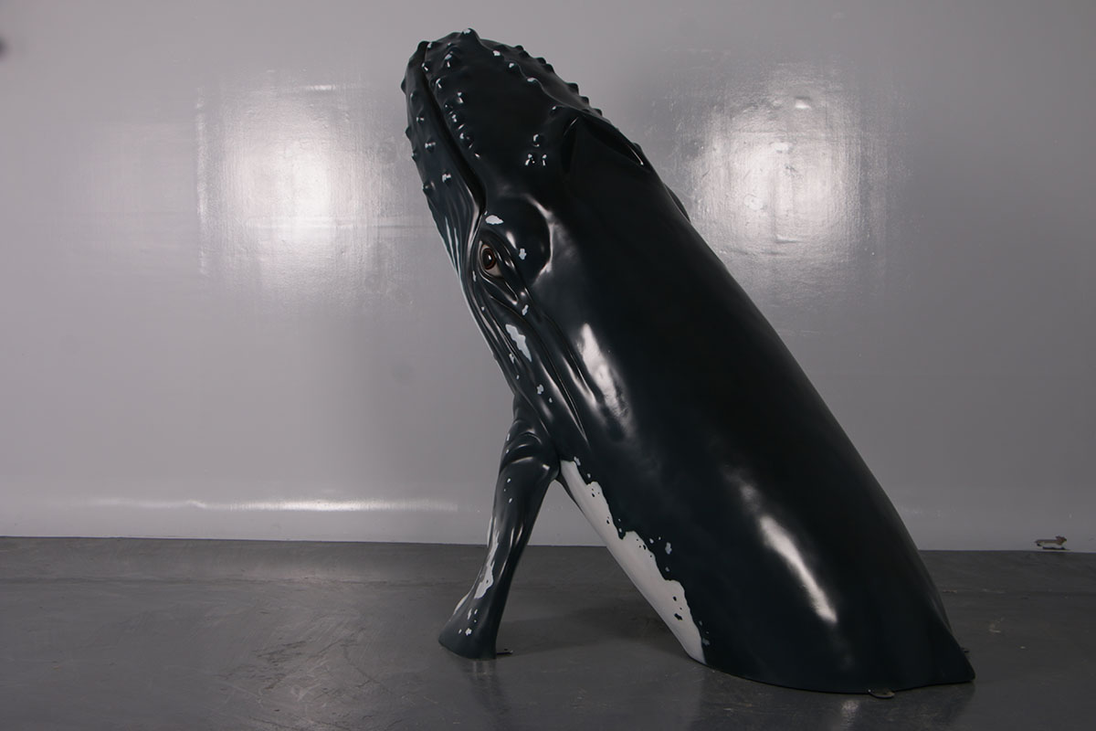 Breaching Humpback Whale