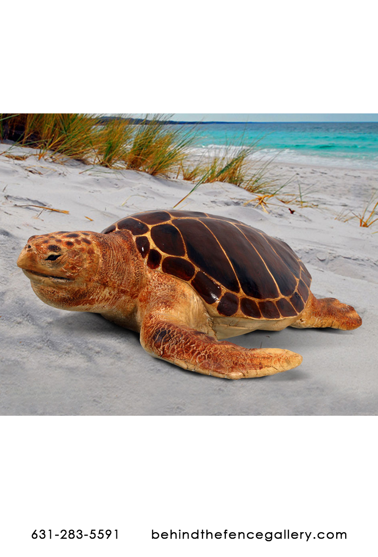 Loggerhead Turtle Statue