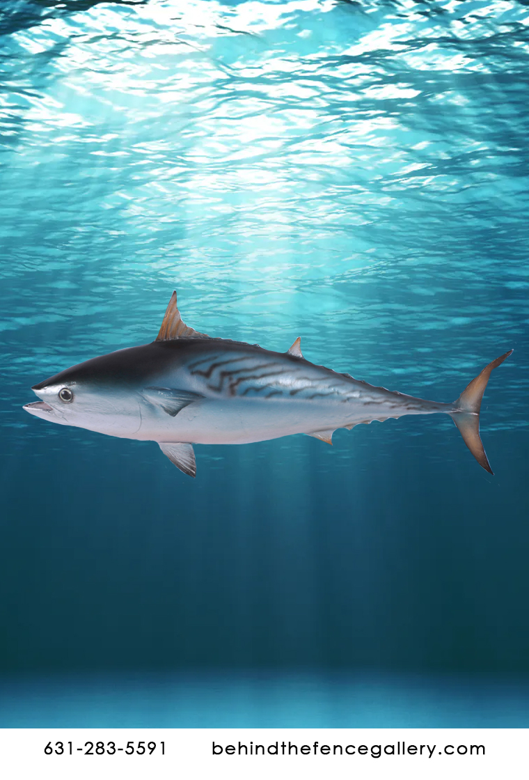 Mackerel Tuna Hanging Statue