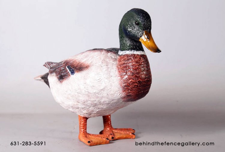 Male Mallard Duck Statue