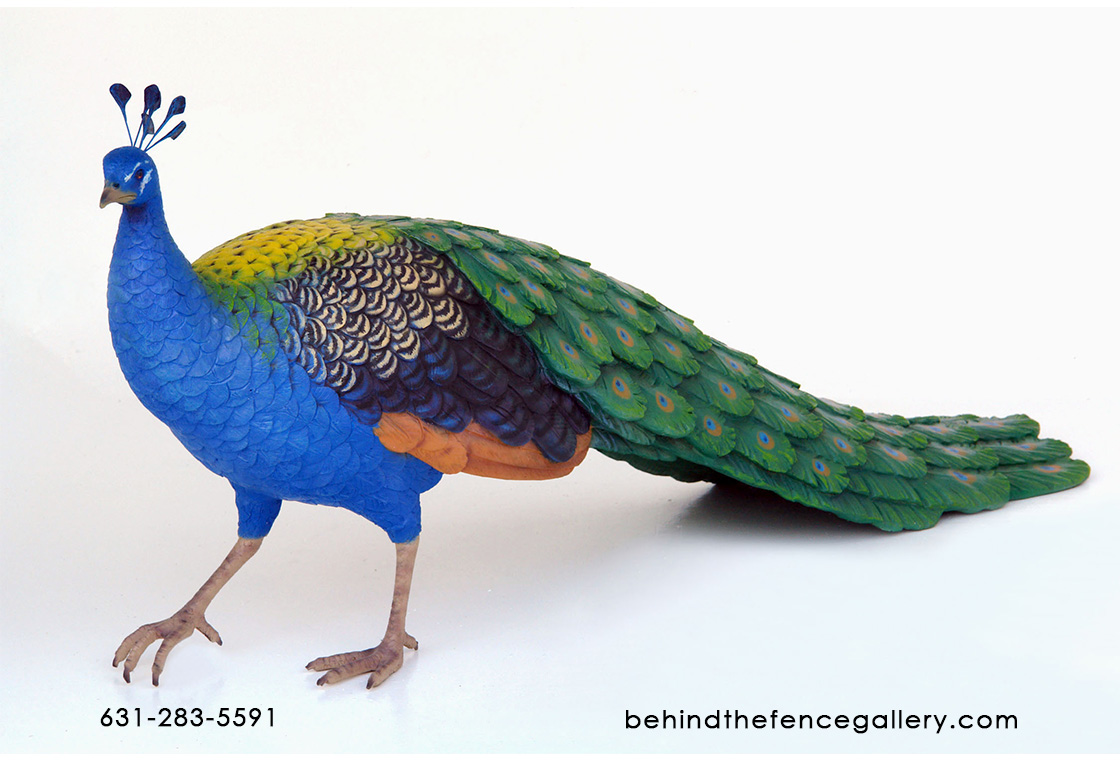 Peacock Statue