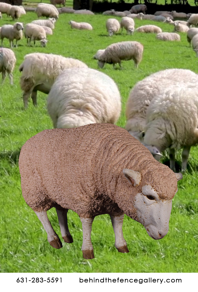 Merino Lamb Ewe Statue Head Down Farm Animal Prop