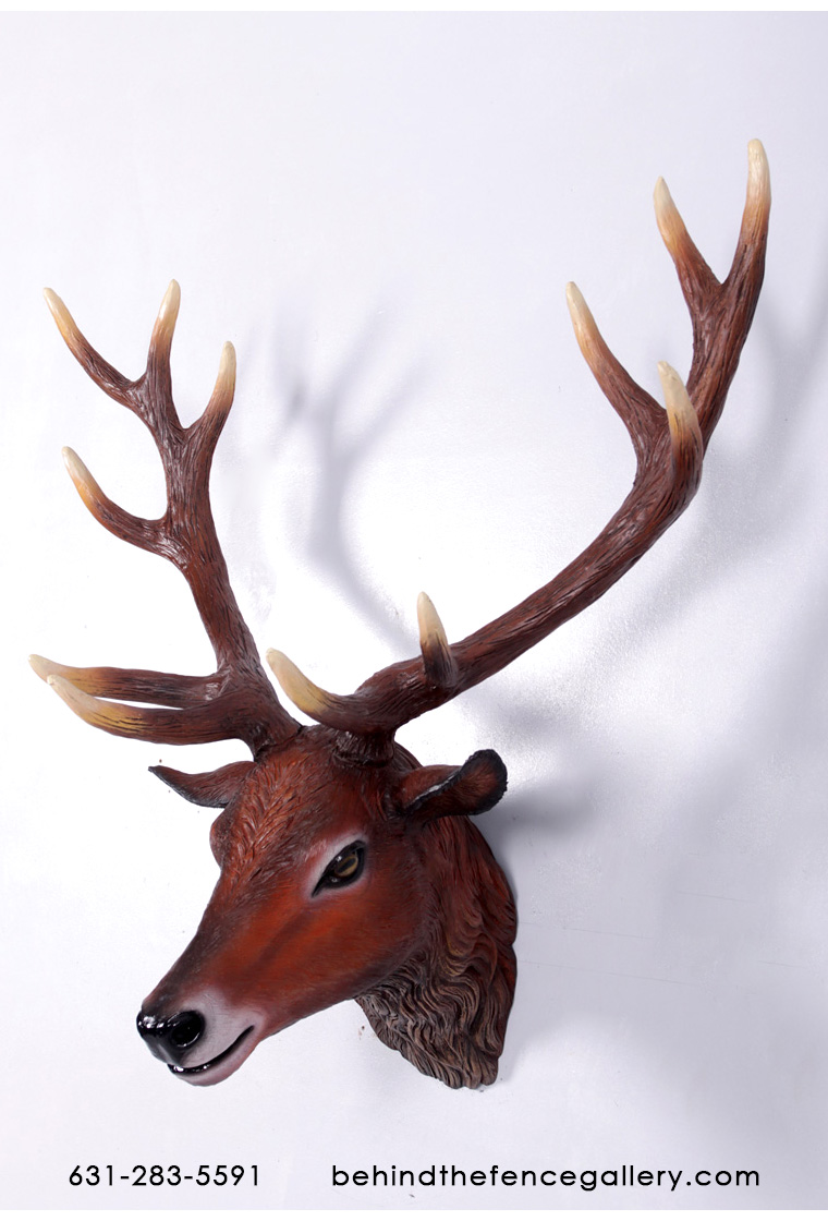 Red Deer Stag Head Wall Mount