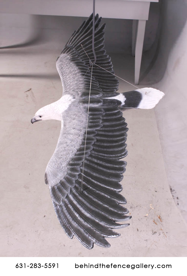 Bird Sea-Eagle White Breasted Statue
