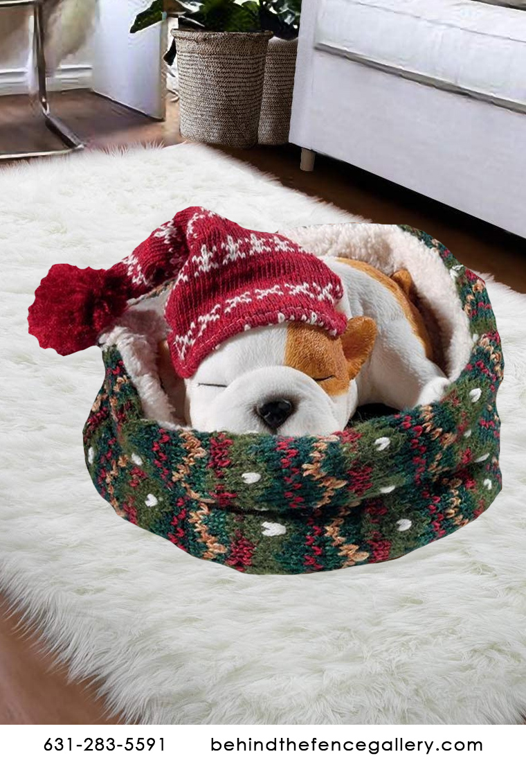 Cozy Bulldog Puppy