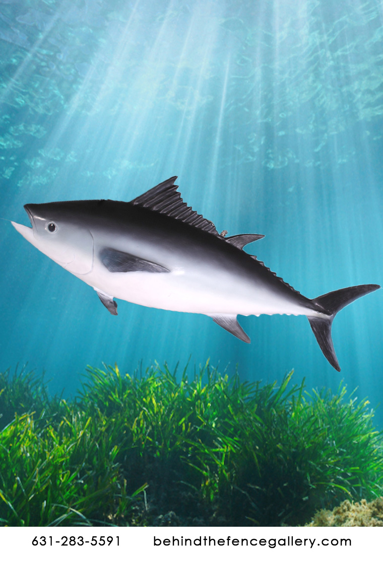 Hanging Tuna Fish Wall Decor